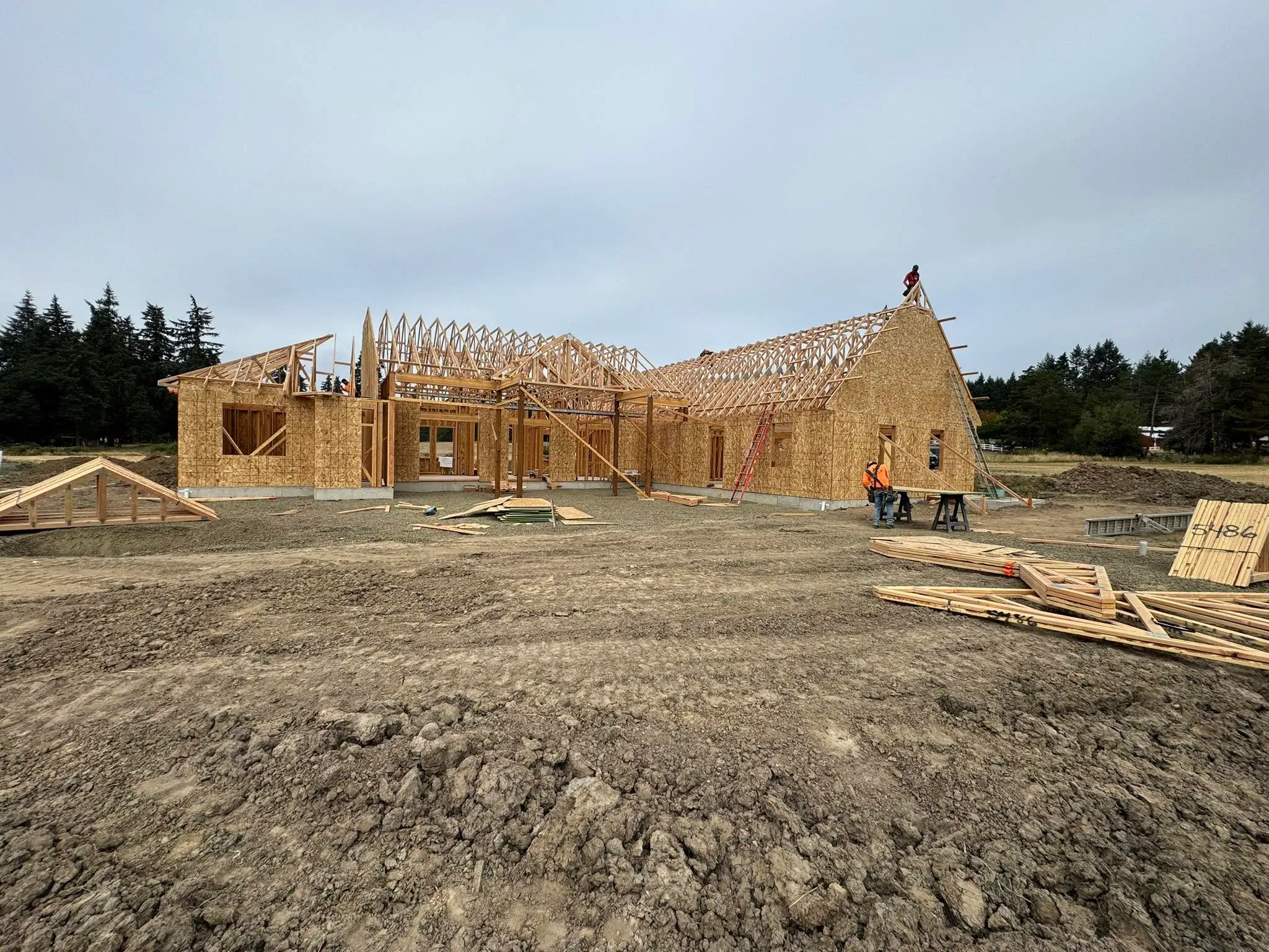 Roof trusses going up on a newly framed single-storey home